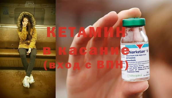 стаф Бородино