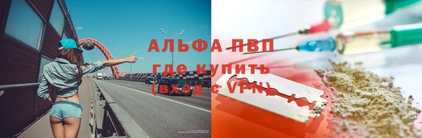 стаф Бородино