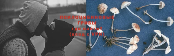 винт Богданович