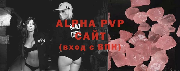 стаф Бородино