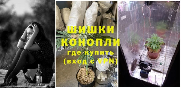 стаф Бородино