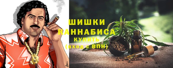 винт Богданович