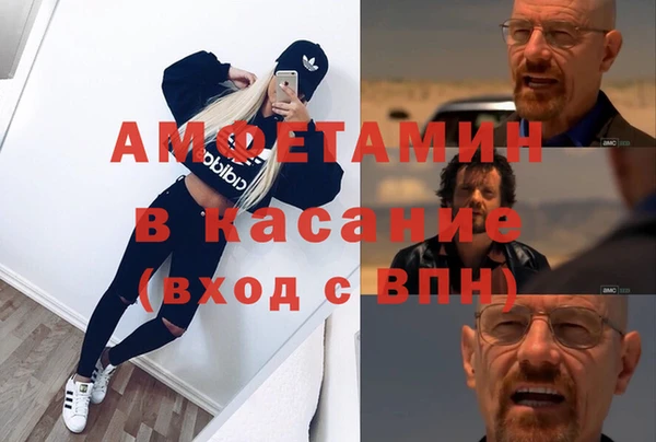 стаф Бородино