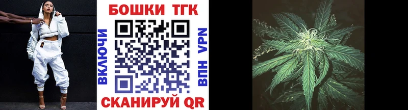 darknet Telegram  Волгореченск  Канабис сатива  где найти  